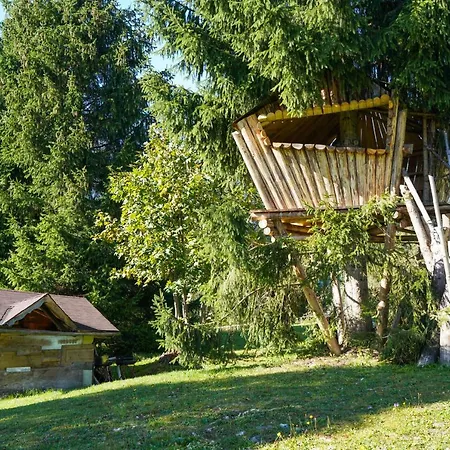 Tana Del Picchio * Falcade